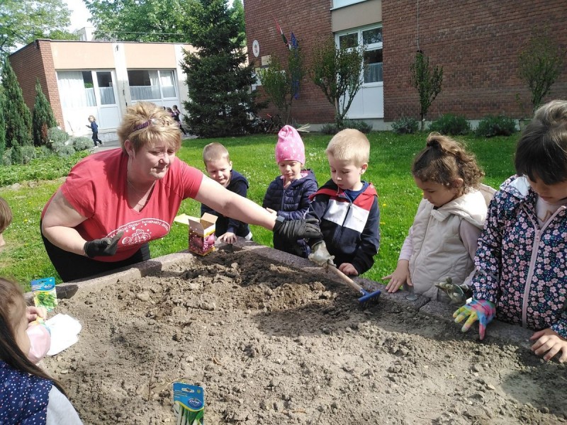 Az óvodások örömmel kertészkednek Fotó: Tisler Anna/Napló