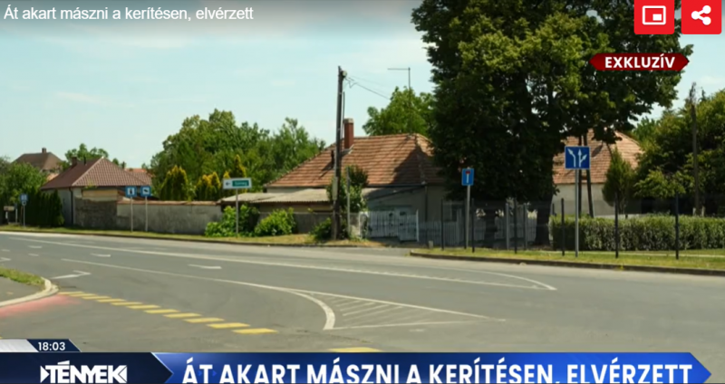 Tragédia Tapolcán: családja talált rá holtan a 20 éves lányra Forrás: tenyek.hu