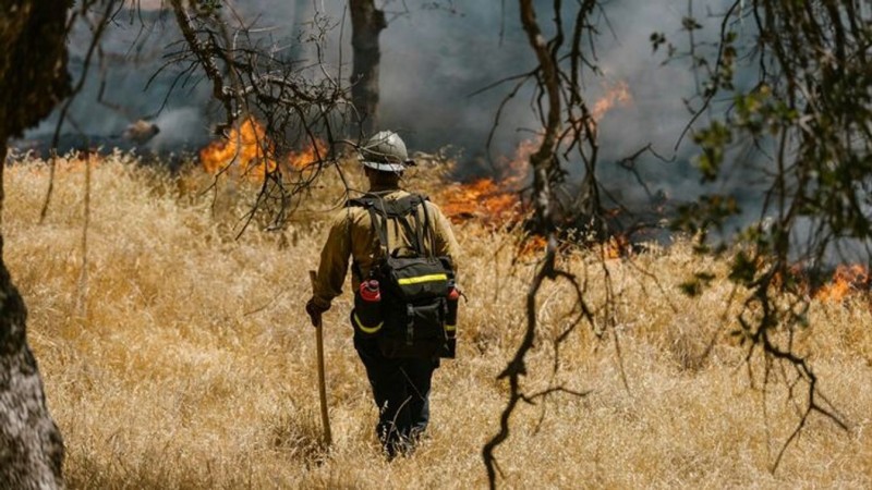 A tűz Tapolcán mintegy fél hektárnyi területet emésztett fel  Forrás: katasztrofavedelem.hu