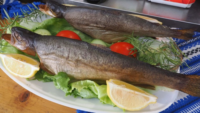 Fotó: Nagy Lajos/ Napló