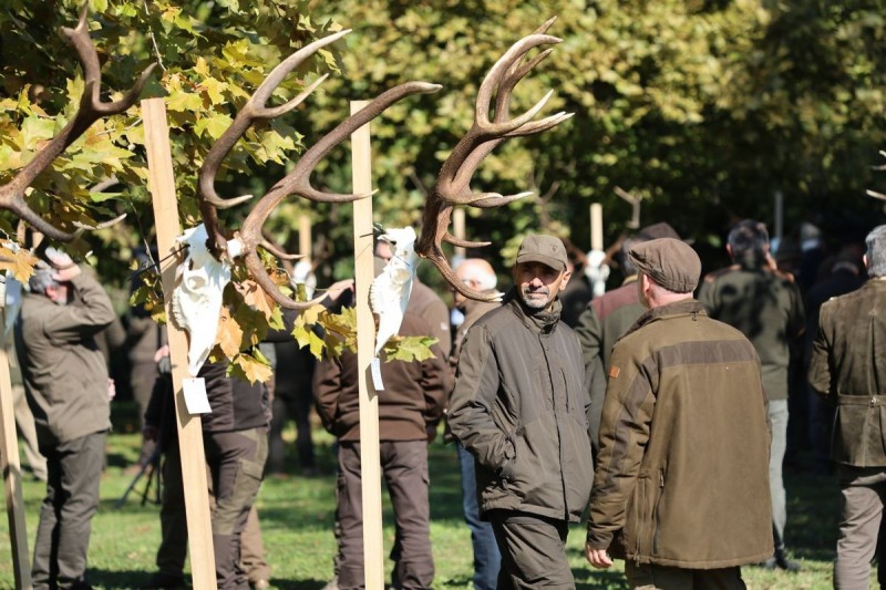 A trófeaszemle eszmecserére alkalmat nyújtó szakmai esemény, amely széleskörű érdeklődést vonz.  Forrás: Bakonyerdő Zrt., Gergál-Gombási Mónika