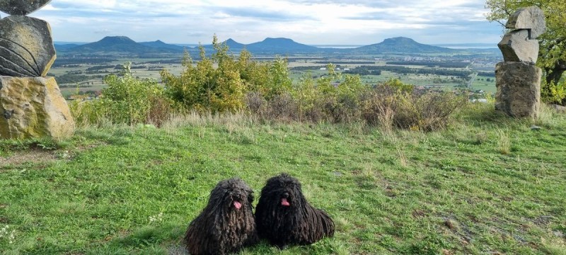 Kirándulás kutyával. A Haláp-hegyről lenyűgöző látványként tárulnak elénk a Balaton tanúhegyei, a Tapolcai-medence, a Keszthelyi-hegység, de még a Somló is. Túrázásra ajánlja Pite és Vacak. Forrás: olvasó, Dávid Barbara