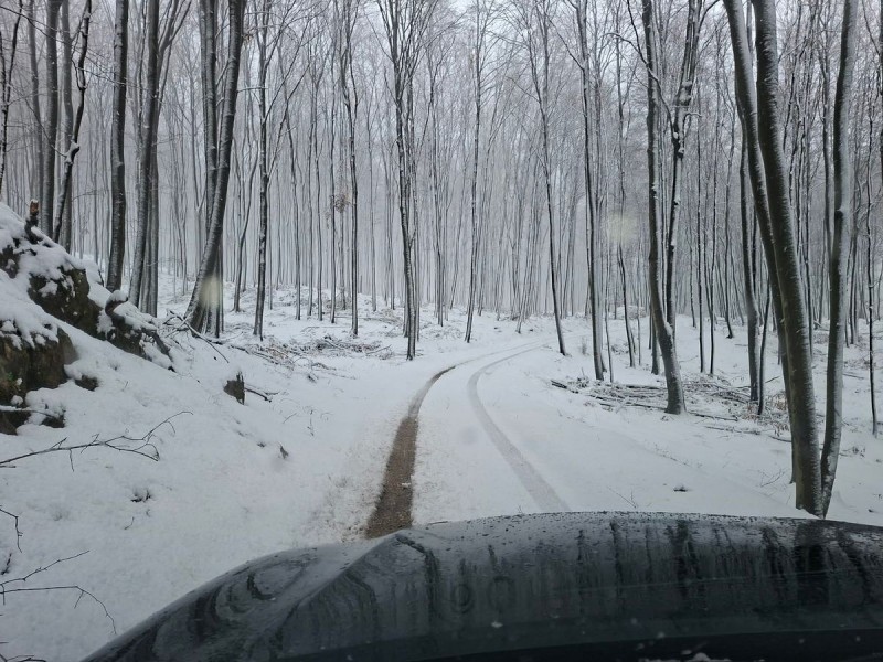 A tavaszi havazás még a hógolyózáshoz is kedvet adhatott, igaz, ehhez a Bakony magasabb pontjaira kellett menni.  Fotó: Bakonyerdő Zrt./Firtl László