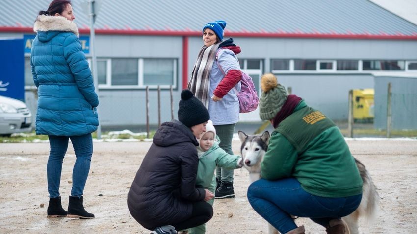 Nem lehet elég korán kezdeni az adományozást  Fotó: Gyarmati László