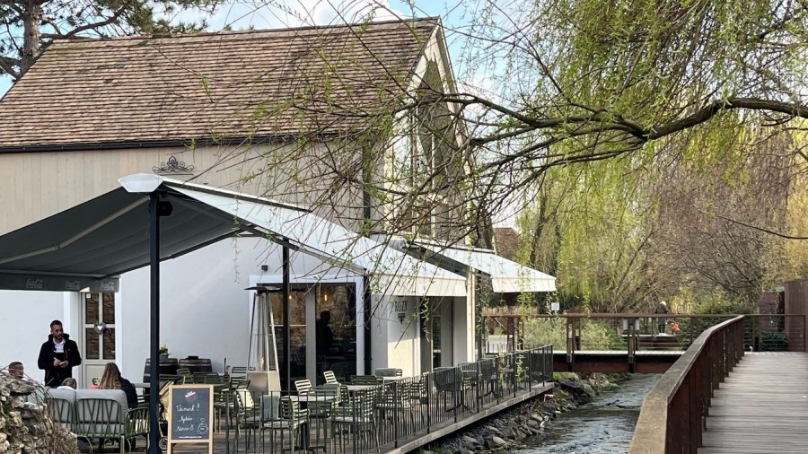 Fotó: Tóth B. Zsuzsa