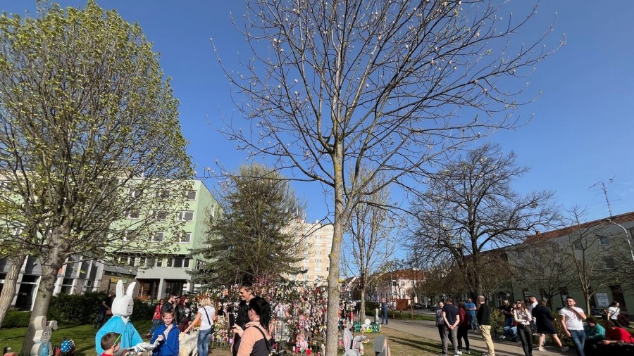 A tojáspark felerősítette a város hírnevét, aki Tapolcán járt, nem hagyta ki az új nevezetességet Fotó: Tóth B. Zsuzsa