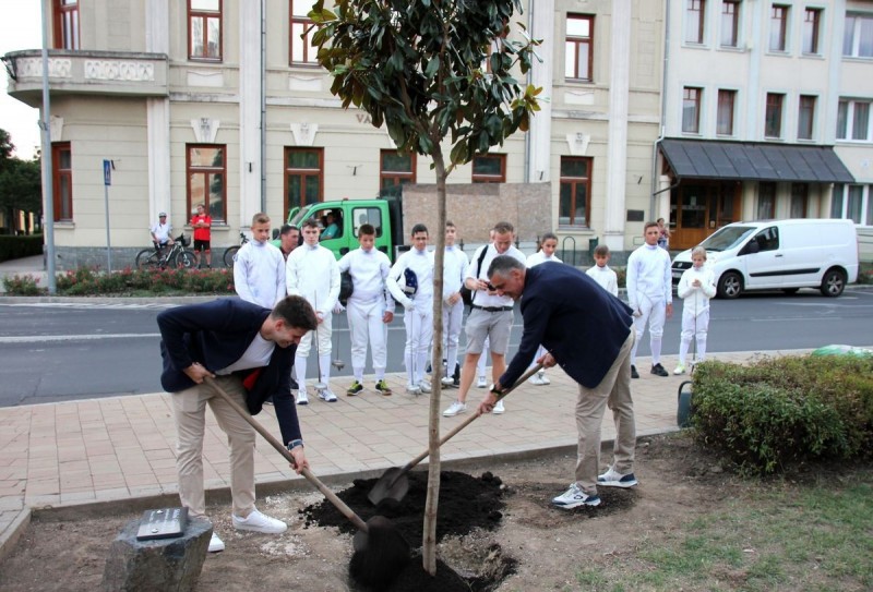 Siklósi Gergely olimpiai bajnok szombaton este fát ültetett Tapolcán a Hősök terén, Boczkó Gábor segítségével Fotó: Szijártó János / Napló