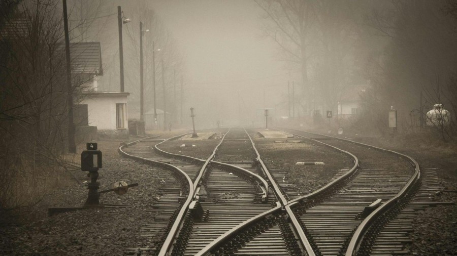 Veol.hu Forrás: pexels.com/Illusztráció